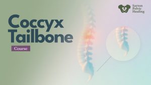 Coccyx Tailbone Course